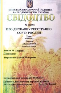 Свідоцтво про державну реєстрацію сорту часнику Ірен №180995, видане Паращенку С.В. — ТОВ Чистий продукт