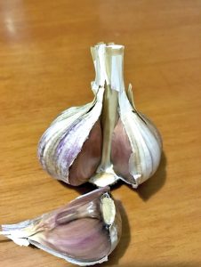 Зубок часнику сорту Ірен як якісний посадковий матеріал — ТОВ Чистий продукт